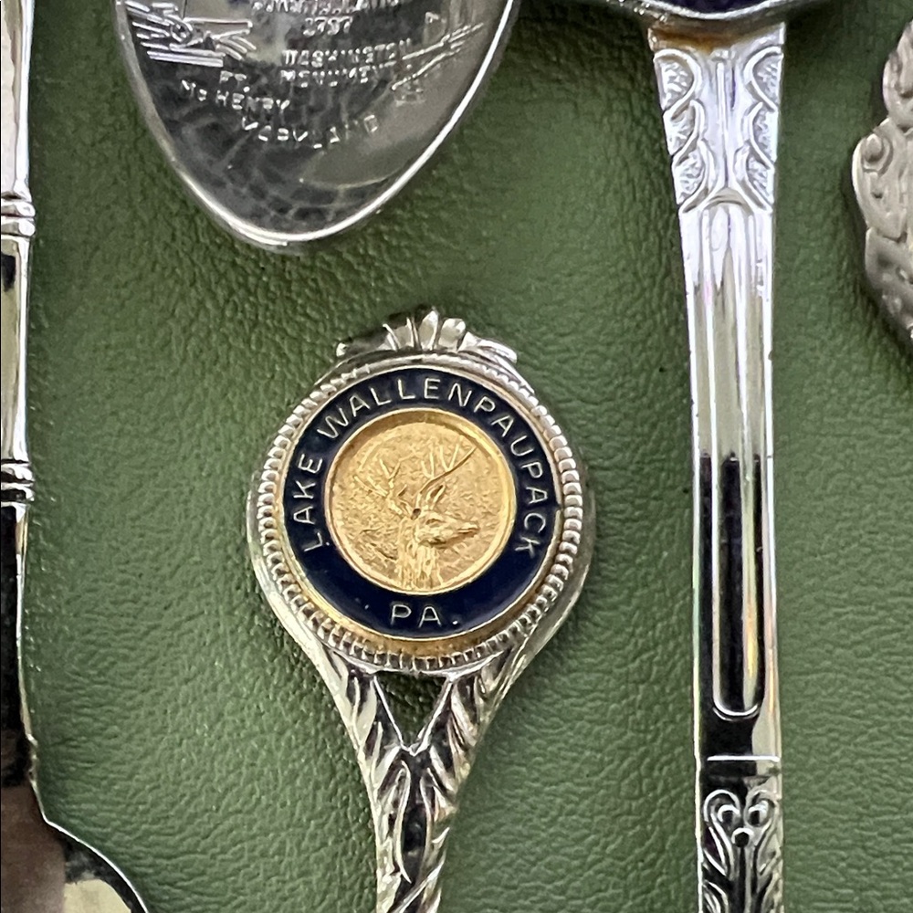Collectable Spoon Lot of 15 - Vintage to Modern! - Picture 4 of 16